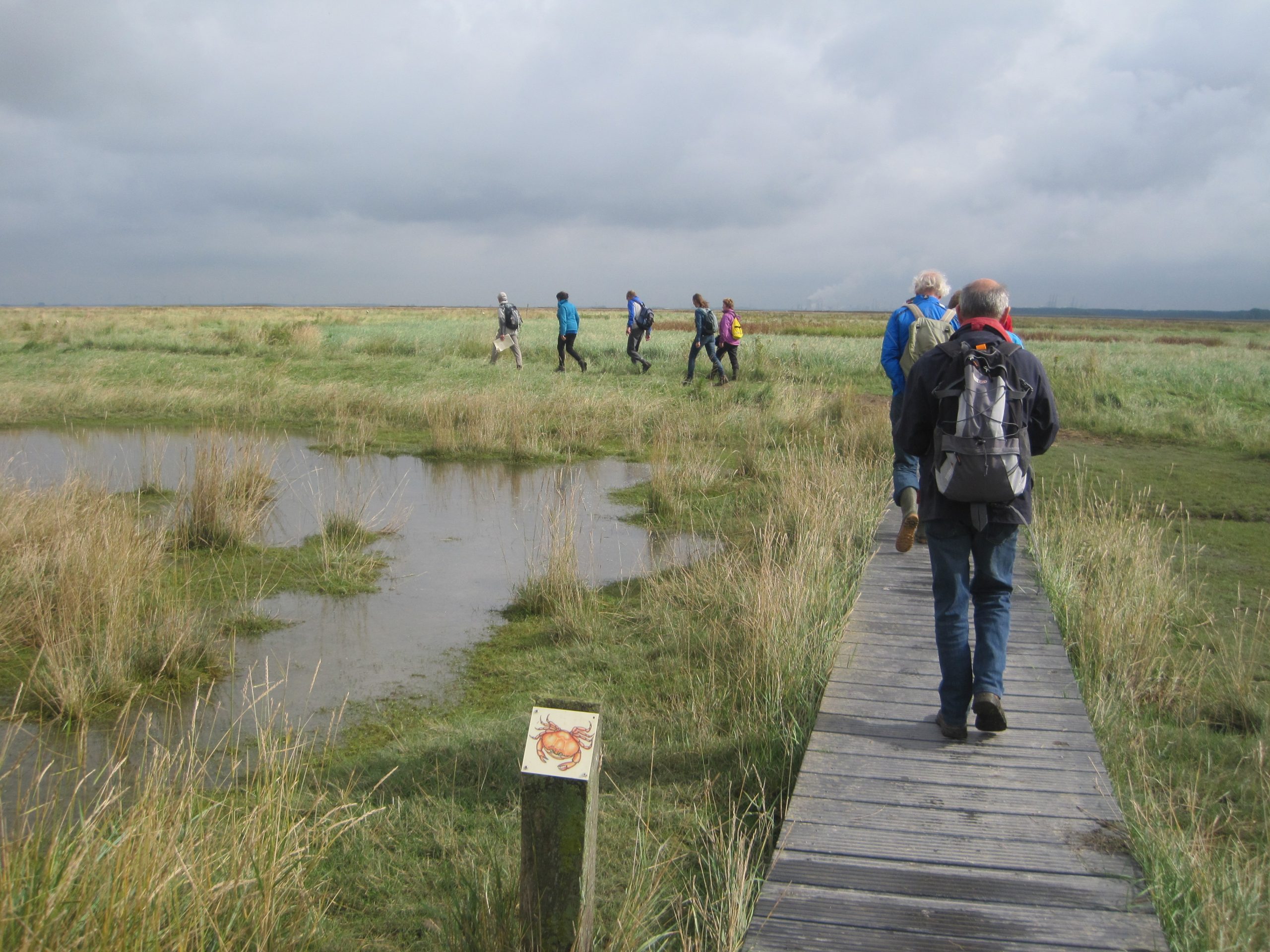 Wandelaars op een houten pad door een landschap met grassen en water. Het is een bewolkte dag.