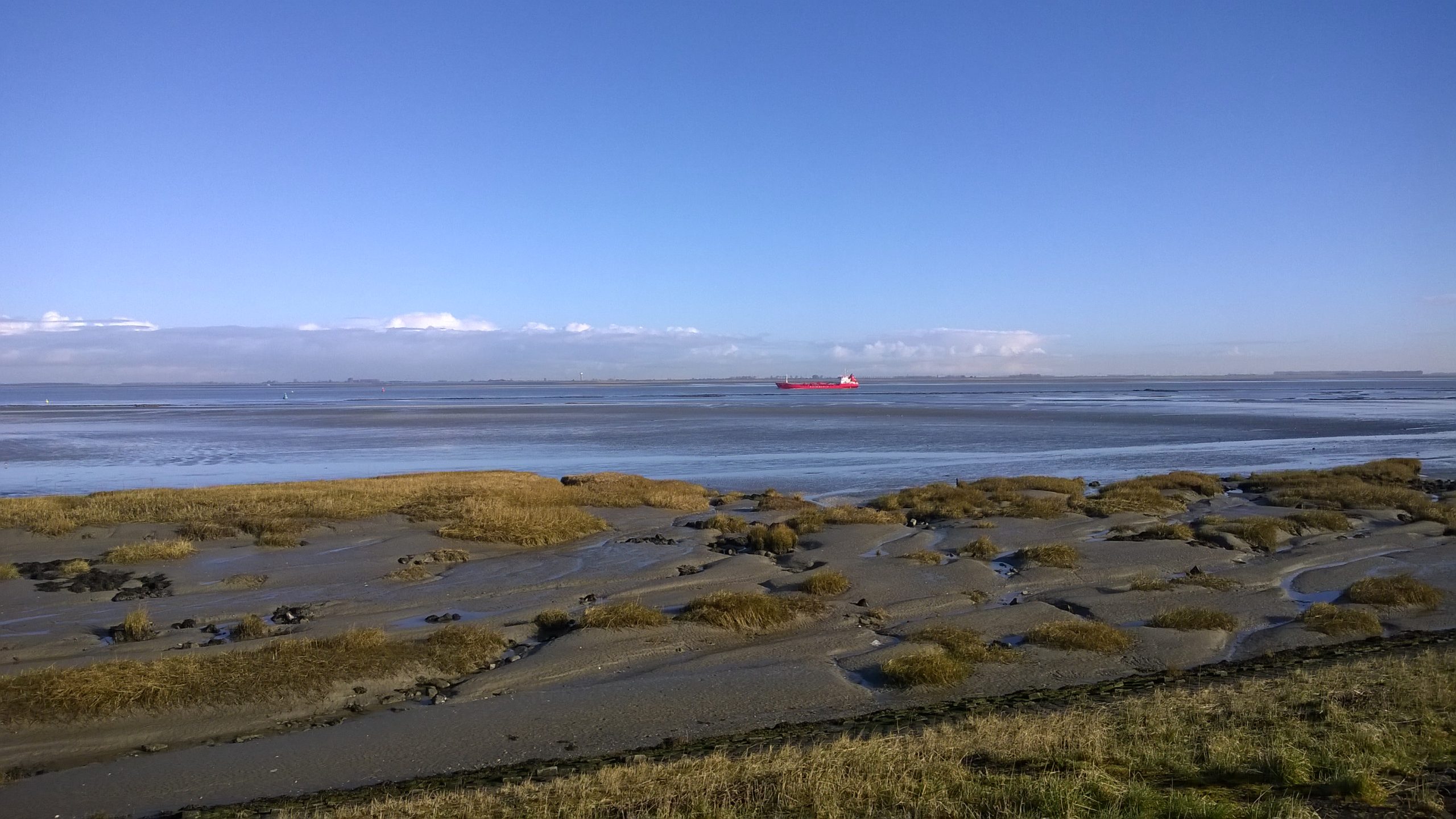 Een rood schip in de verte, voor de kustlijn.