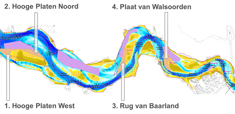 Schematische weergave van de stortstrategie bij de Hooge Platen, Plaat van Walsoorden en Rug van Baarland.