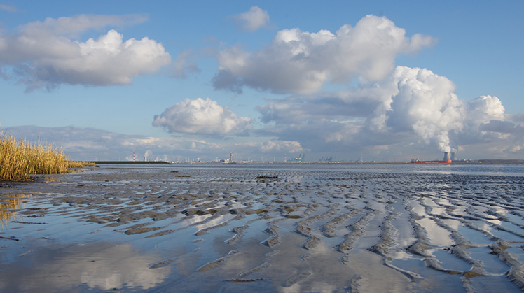 Slikken en scheepvaart op de Schelde met op de achtergrond een haven en torens van een kerncentrale.
