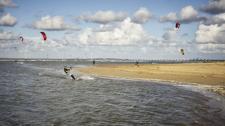 Windsurfers op de Schelde.
