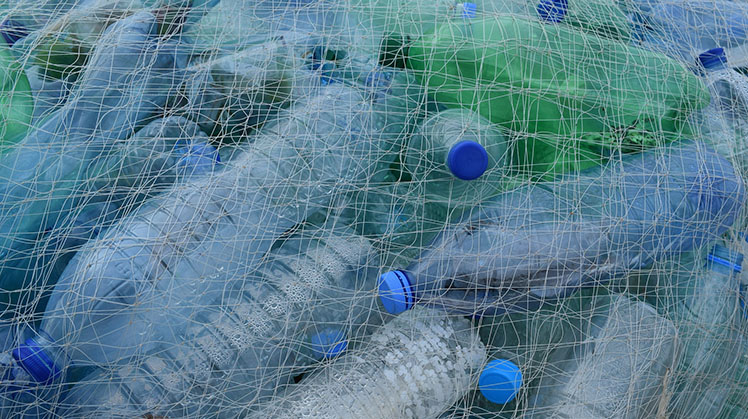 Plastic flessen in een net.