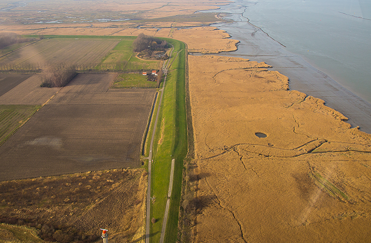 Luchtfoto van land aan de Schelde bij de Hedwigepolder.