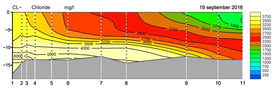 Op deze grafiek is te zien dat de zoutconcentratie in 2016 tussen de 1500 en 6000 mg/l is.