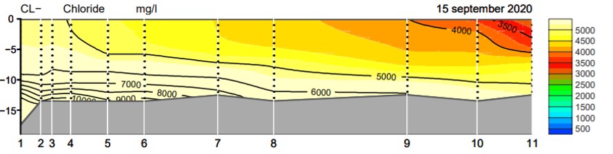 Op deze grafiek is te zien dat de zoutconcentratie in 2020 tussen de 3500 en 10.000 mg/l is.