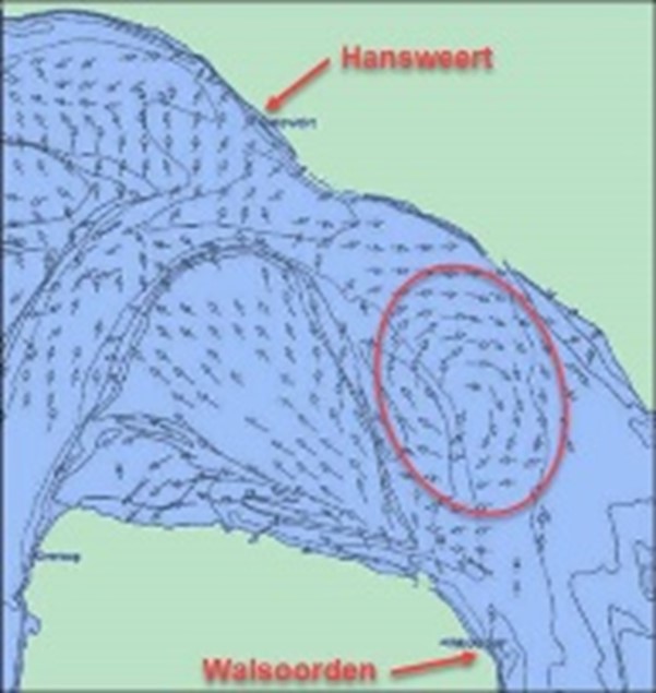 Schematische weergave van de draaikolk bij Hansweert bij springtij.