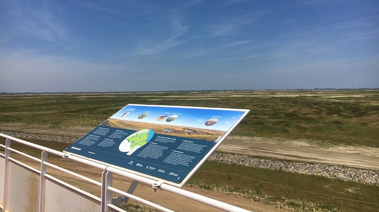 Foto van een informatiebord over de Hedwige-Prosperpolder met op de achtergrond uitzicht op het hele gebied.