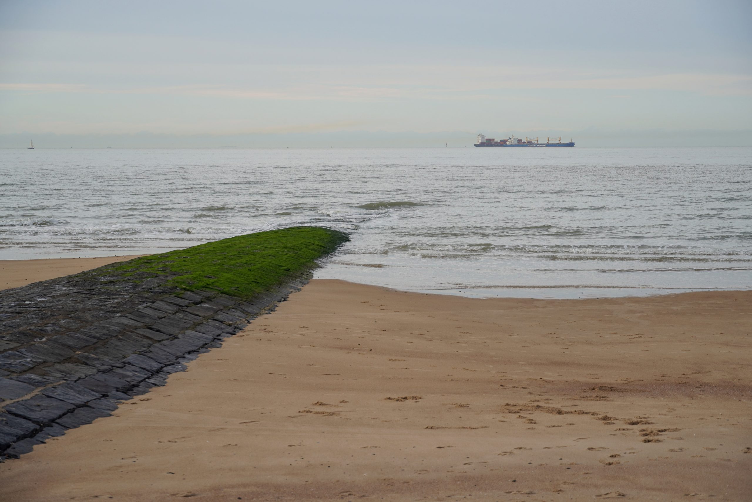 Zicht op zee vanuit Zwin Natuur Park, met zand op de voorgrond en een vrachtschip in de achtergrond.
