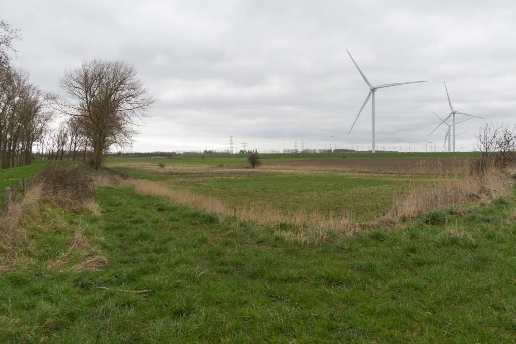 Een polder met bomen en begroeiing langs de randen. In de achtergrond staan drie windmolens.