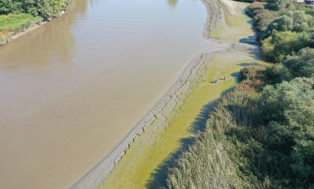 Een luchtfoto van een rivier. Het water is bruinkleurig en wordt omringd door groen en bomen.