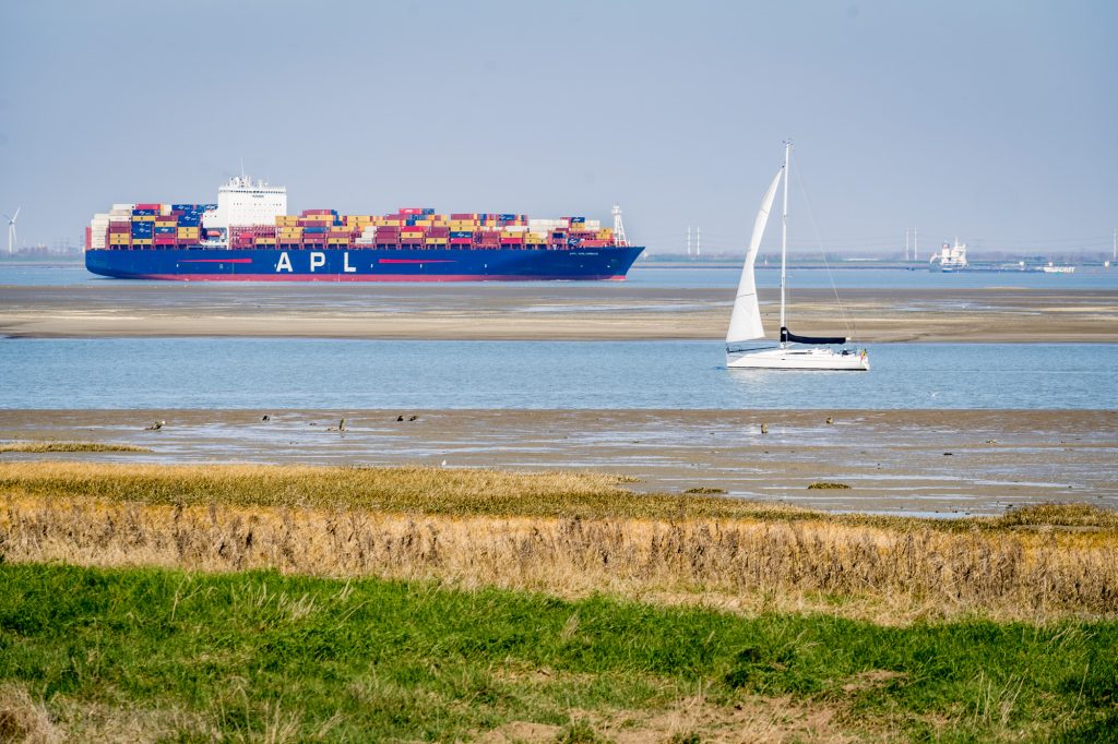 Containerschip en zeilboot varen over de Schelde